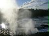 little blowhole little blowhole